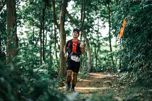 BIB: 
                            <button type="button" onclick="openModal(26046824)" class="btn btn-primary btn-sm float-right btn-popup" data-toggle="modal" data-target=".modal-high-quality">
                        <i class="fas fa-shopping-cart"></i> Add to Cart
                    </button>
                                            <button type="button" onclick="isThisMe(26046824, true)" class="btn btn-success btn-sm float-right btn-popup btn-isme hidden" data-toggle="tooltip" data-placement="bottom" title="นี่คือรูปของคุณใช่ไหม คลิกที่นี่เพื่อเอาเข้าอัลบั้ม">
                        <i class="fas fa-plus"></i> Add to album
                    </button>
                    <button type="button" onclick="isThisMe(26046824, false)" class="btn btn-warning btn-sm float-right btn-popup btn-isnotme hidden">
                        <i class="fas fa-ban"></i> Remove from album
                    </button>