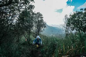 BIB: 
                            <button type="button" onclick="openModal(25244030)" class="btn btn-primary btn-sm float-right btn-popup" data-toggle="modal" data-target=".modal-high-quality">
                        <i class="fas fa-shopping-cart"></i> Add to Cart
                    </button>
                                            <button type="button" onclick="isThisMe(25244030, true)" class="btn btn-success btn-sm float-right btn-popup btn-isme hidden" data-toggle="tooltip" data-placement="bottom" title="นี่คือรูปของคุณใช่ไหม คลิกที่นี่เพื่อเอาเข้าอัลบั้ม">
                        <i class="fas fa-plus"></i> Add to album
                    </button>
                    <button type="button" onclick="isThisMe(25244030, false)" class="btn btn-warning btn-sm float-right btn-popup btn-isnotme hidden">
                        <i class="fas fa-ban"></i> Remove from album
                    </button>