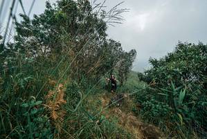 BIB: 
                            <button type="button" onclick="openModal(25243319)" class="btn btn-primary btn-sm float-right btn-popup" data-toggle="modal" data-target=".modal-high-quality">
                        <i class="fas fa-shopping-cart"></i> Add to Cart
                    </button>
                                            <button type="button" onclick="isThisMe(25243319, true)" class="btn btn-success btn-sm float-right btn-popup btn-isme hidden" data-toggle="tooltip" data-placement="bottom" title="นี่คือรูปของคุณใช่ไหม คลิกที่นี่เพื่อเอาเข้าอัลบั้ม">
                        <i class="fas fa-plus"></i> Add to album
                    </button>
                    <button type="button" onclick="isThisMe(25243319, false)" class="btn btn-warning btn-sm float-right btn-popup btn-isnotme hidden">
                        <i class="fas fa-ban"></i> Remove from album
                    </button>