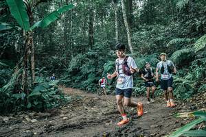 BIB: 
                            <button type="button" onclick="openModal(25645869)" class="btn btn-primary btn-sm float-right btn-popup" data-toggle="modal" data-target=".modal-high-quality">
                        <i class="fas fa-shopping-cart"></i> Add to Cart
                    </button>
                                            <button type="button" onclick="isThisMe(25645869, true)" class="btn btn-success btn-sm float-right btn-popup btn-isme hidden" data-toggle="tooltip" data-placement="bottom" title="นี่คือรูปของคุณใช่ไหม คลิกที่นี่เพื่อเอาเข้าอัลบั้ม">
                        <i class="fas fa-plus"></i> Add to album
                    </button>
                    <button type="button" onclick="isThisMe(25645869, false)" class="btn btn-warning btn-sm float-right btn-popup btn-isnotme hidden">
                        <i class="fas fa-ban"></i> Remove from album
                    </button>