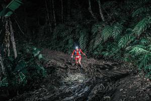 BIB: 
                            <button type="button" onclick="openModal(25694971)" class="btn btn-primary btn-sm float-right btn-popup" data-toggle="modal" data-target=".modal-high-quality">
                        <i class="fas fa-shopping-cart"></i> Add to Cart
                    </button>
                                            <button type="button" onclick="isThisMe(25694971, true)" class="btn btn-success btn-sm float-right btn-popup btn-isme hidden" data-toggle="tooltip" data-placement="bottom" title="นี่คือรูปของคุณใช่ไหม คลิกที่นี่เพื่อเอาเข้าอัลบั้ม">
                        <i class="fas fa-plus"></i> Add to album
                    </button>
                    <button type="button" onclick="isThisMe(25694971, false)" class="btn btn-warning btn-sm float-right btn-popup btn-isnotme hidden">
                        <i class="fas fa-ban"></i> Remove from album
                    </button>