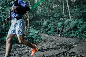 BIB: 
                            <button type="button" onclick="openModal(25697759)" class="btn btn-primary btn-sm float-right btn-popup" data-toggle="modal" data-target=".modal-high-quality">
                        <i class="fas fa-shopping-cart"></i> Add to Cart
                    </button>
                                            <button type="button" onclick="isThisMe(25697759, true)" class="btn btn-success btn-sm float-right btn-popup btn-isme hidden" data-toggle="tooltip" data-placement="bottom" title="นี่คือรูปของคุณใช่ไหม คลิกที่นี่เพื่อเอาเข้าอัลบั้ม">
                        <i class="fas fa-plus"></i> Add to album
                    </button>
                    <button type="button" onclick="isThisMe(25697759, false)" class="btn btn-warning btn-sm float-right btn-popup btn-isnotme hidden">
                        <i class="fas fa-ban"></i> Remove from album
                    </button>