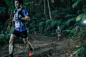 BIB: 
                            <button type="button" onclick="openModal(26049733)" class="btn btn-primary btn-sm float-right btn-popup" data-toggle="modal" data-target=".modal-high-quality">
                        <i class="fas fa-shopping-cart"></i> Add to Cart
                    </button>
                                            <button type="button" onclick="isThisMe(26049733, true)" class="btn btn-success btn-sm float-right btn-popup btn-isme hidden" data-toggle="tooltip" data-placement="bottom" title="นี่คือรูปของคุณใช่ไหม คลิกที่นี่เพื่อเอาเข้าอัลบั้ม">
                        <i class="fas fa-plus"></i> Add to album
                    </button>
                    <button type="button" onclick="isThisMe(26049733, false)" class="btn btn-warning btn-sm float-right btn-popup btn-isnotme hidden">
                        <i class="fas fa-ban"></i> Remove from album
                    </button>