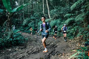 BIB: 
                            <button type="button" onclick="openModal(26056522)" class="btn btn-primary btn-sm float-right btn-popup" data-toggle="modal" data-target=".modal-high-quality">
                        <i class="fas fa-shopping-cart"></i> Add to Cart
                    </button>
                                            <button type="button" onclick="isThisMe(26056522, true)" class="btn btn-success btn-sm float-right btn-popup btn-isme hidden" data-toggle="tooltip" data-placement="bottom" title="นี่คือรูปของคุณใช่ไหม คลิกที่นี่เพื่อเอาเข้าอัลบั้ม">
                        <i class="fas fa-plus"></i> Add to album
                    </button>
                    <button type="button" onclick="isThisMe(26056522, false)" class="btn btn-warning btn-sm float-right btn-popup btn-isnotme hidden">
                        <i class="fas fa-ban"></i> Remove from album
                    </button>