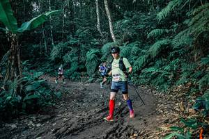 BIB: 
                            <button type="button" onclick="openModal(26060230)" class="btn btn-primary btn-sm float-right btn-popup" data-toggle="modal" data-target=".modal-high-quality">
                        <i class="fas fa-shopping-cart"></i> Add to Cart
                    </button>
                                            <button type="button" onclick="isThisMe(26060230, true)" class="btn btn-success btn-sm float-right btn-popup btn-isme hidden" data-toggle="tooltip" data-placement="bottom" title="นี่คือรูปของคุณใช่ไหม คลิกที่นี่เพื่อเอาเข้าอัลบั้ม">
                        <i class="fas fa-plus"></i> Add to album
                    </button>
                    <button type="button" onclick="isThisMe(26060230, false)" class="btn btn-warning btn-sm float-right btn-popup btn-isnotme hidden">
                        <i class="fas fa-ban"></i> Remove from album
                    </button>