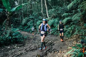 BIB: 
                            <button type="button" onclick="openModal(26056568)" class="btn btn-primary btn-sm float-right btn-popup" data-toggle="modal" data-target=".modal-high-quality">
                        <i class="fas fa-shopping-cart"></i> Add to Cart
                    </button>
                                            <button type="button" onclick="isThisMe(26056568, true)" class="btn btn-success btn-sm float-right btn-popup btn-isme hidden" data-toggle="tooltip" data-placement="bottom" title="นี่คือรูปของคุณใช่ไหม คลิกที่นี่เพื่อเอาเข้าอัลบั้ม">
                        <i class="fas fa-plus"></i> Add to album
                    </button>
                    <button type="button" onclick="isThisMe(26056568, false)" class="btn btn-warning btn-sm float-right btn-popup btn-isnotme hidden">
                        <i class="fas fa-ban"></i> Remove from album
                    </button>