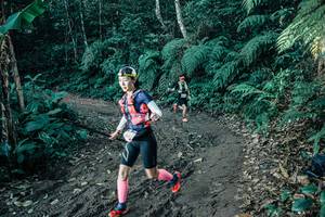 BIB: 
                            <button type="button" onclick="openModal(26017141)" class="btn btn-primary btn-sm float-right btn-popup" data-toggle="modal" data-target=".modal-high-quality">
                        <i class="fas fa-shopping-cart"></i> Add to Cart
                    </button>
                                            <button type="button" onclick="isThisMe(26017141, true)" class="btn btn-success btn-sm float-right btn-popup btn-isme hidden" data-toggle="tooltip" data-placement="bottom" title="นี่คือรูปของคุณใช่ไหม คลิกที่นี่เพื่อเอาเข้าอัลบั้ม">
                        <i class="fas fa-plus"></i> Add to album
                    </button>
                    <button type="button" onclick="isThisMe(26017141, false)" class="btn btn-warning btn-sm float-right btn-popup btn-isnotme hidden">
                        <i class="fas fa-ban"></i> Remove from album
                    </button>