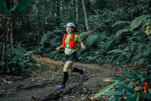 BIB: 
                            <button type="button" onclick="openModal(25653542)" class="btn btn-primary btn-sm float-right btn-popup" data-toggle="modal" data-target=".modal-high-quality">
                        <i class="fas fa-shopping-cart"></i> Add to Cart
                    </button>
                                            <button type="button" onclick="isThisMe(25653542, true)" class="btn btn-success btn-sm float-right btn-popup btn-isme hidden" data-toggle="tooltip" data-placement="bottom" title="นี่คือรูปของคุณใช่ไหม คลิกที่นี่เพื่อเอาเข้าอัลบั้ม">
                        <i class="fas fa-plus"></i> Add to album
                    </button>
                    <button type="button" onclick="isThisMe(25653542, false)" class="btn btn-warning btn-sm float-right btn-popup btn-isnotme hidden">
                        <i class="fas fa-ban"></i> Remove from album
                    </button>