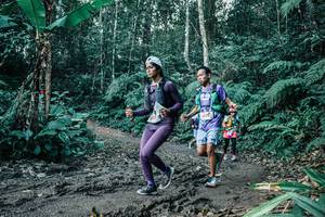 BIB: 
                            <button type="button" onclick="openModal(25612905)" class="btn btn-primary btn-sm float-right btn-popup" data-toggle="modal" data-target=".modal-high-quality">
                        <i class="fas fa-shopping-cart"></i> Add to Cart
                    </button>
                                            <button type="button" onclick="isThisMe(25612905, true)" class="btn btn-success btn-sm float-right btn-popup btn-isme hidden" data-toggle="tooltip" data-placement="bottom" title="นี่คือรูปของคุณใช่ไหม คลิกที่นี่เพื่อเอาเข้าอัลบั้ม">
                        <i class="fas fa-plus"></i> Add to album
                    </button>
                    <button type="button" onclick="isThisMe(25612905, false)" class="btn btn-warning btn-sm float-right btn-popup btn-isnotme hidden">
                        <i class="fas fa-ban"></i> Remove from album
                    </button>