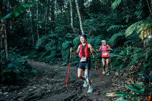 BIB: 
                            <button type="button" onclick="openModal(26018578)" class="btn btn-primary btn-sm float-right btn-popup" data-toggle="modal" data-target=".modal-high-quality">
                        <i class="fas fa-shopping-cart"></i> Add to Cart
                    </button>
                                            <button type="button" onclick="isThisMe(26018578, true)" class="btn btn-success btn-sm float-right btn-popup btn-isme hidden" data-toggle="tooltip" data-placement="bottom" title="นี่คือรูปของคุณใช่ไหม คลิกที่นี่เพื่อเอาเข้าอัลบั้ม">
                        <i class="fas fa-plus"></i> Add to album
                    </button>
                    <button type="button" onclick="isThisMe(26018578, false)" class="btn btn-warning btn-sm float-right btn-popup btn-isnotme hidden">
                        <i class="fas fa-ban"></i> Remove from album
                    </button>