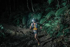 BIB: 
                            <button type="button" onclick="openModal(25695177)" class="btn btn-primary btn-sm float-right btn-popup" data-toggle="modal" data-target=".modal-high-quality">
                        <i class="fas fa-shopping-cart"></i> Add to Cart
                    </button>
                                            <button type="button" onclick="isThisMe(25695177, true)" class="btn btn-success btn-sm float-right btn-popup btn-isme hidden" data-toggle="tooltip" data-placement="bottom" title="นี่คือรูปของคุณใช่ไหม คลิกที่นี่เพื่อเอาเข้าอัลบั้ม">
                        <i class="fas fa-plus"></i> Add to album
                    </button>
                    <button type="button" onclick="isThisMe(25695177, false)" class="btn btn-warning btn-sm float-right btn-popup btn-isnotme hidden">
                        <i class="fas fa-ban"></i> Remove from album
                    </button>