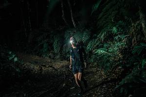 BIB: 
                            <button type="button" onclick="openModal(26031739)" class="btn btn-primary btn-sm float-right btn-popup" data-toggle="modal" data-target=".modal-high-quality">
                        <i class="fas fa-shopping-cart"></i> Add to Cart
                    </button>
                                            <button type="button" onclick="isThisMe(26031739, true)" class="btn btn-success btn-sm float-right btn-popup btn-isme hidden" data-toggle="tooltip" data-placement="bottom" title="นี่คือรูปของคุณใช่ไหม คลิกที่นี่เพื่อเอาเข้าอัลบั้ม">
                        <i class="fas fa-plus"></i> Add to album
                    </button>
                    <button type="button" onclick="isThisMe(26031739, false)" class="btn btn-warning btn-sm float-right btn-popup btn-isnotme hidden">
                        <i class="fas fa-ban"></i> Remove from album
                    </button>