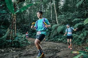 BIB: 
                            <button type="button" onclick="openModal(25641196)" class="btn btn-primary btn-sm float-right btn-popup" data-toggle="modal" data-target=".modal-high-quality">
                        <i class="fas fa-shopping-cart"></i> Add to Cart
                    </button>
                                            <button type="button" onclick="isThisMe(25641196, true)" class="btn btn-success btn-sm float-right btn-popup btn-isme hidden" data-toggle="tooltip" data-placement="bottom" title="นี่คือรูปของคุณใช่ไหม คลิกที่นี่เพื่อเอาเข้าอัลบั้ม">
                        <i class="fas fa-plus"></i> Add to album
                    </button>
                    <button type="button" onclick="isThisMe(25641196, false)" class="btn btn-warning btn-sm float-right btn-popup btn-isnotme hidden">
                        <i class="fas fa-ban"></i> Remove from album
                    </button>