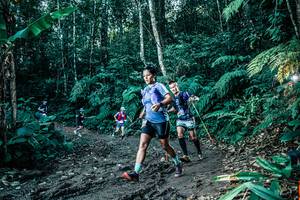 BIB: 
                            <button type="button" onclick="openModal(25601504)" class="btn btn-primary btn-sm float-right btn-popup" data-toggle="modal" data-target=".modal-high-quality">
                        <i class="fas fa-shopping-cart"></i> Add to Cart
                    </button>
                                            <button type="button" onclick="isThisMe(25601504, true)" class="btn btn-success btn-sm float-right btn-popup btn-isme hidden" data-toggle="tooltip" data-placement="bottom" title="นี่คือรูปของคุณใช่ไหม คลิกที่นี่เพื่อเอาเข้าอัลบั้ม">
                        <i class="fas fa-plus"></i> Add to album
                    </button>
                    <button type="button" onclick="isThisMe(25601504, false)" class="btn btn-warning btn-sm float-right btn-popup btn-isnotme hidden">
                        <i class="fas fa-ban"></i> Remove from album
                    </button>