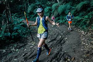 BIB: 
                            <button type="button" onclick="openModal(26032827)" class="btn btn-primary btn-sm float-right btn-popup" data-toggle="modal" data-target=".modal-high-quality">
                        <i class="fas fa-shopping-cart"></i> Add to Cart
                    </button>
                                            <button type="button" onclick="isThisMe(26032827, true)" class="btn btn-success btn-sm float-right btn-popup btn-isme hidden" data-toggle="tooltip" data-placement="bottom" title="นี่คือรูปของคุณใช่ไหม คลิกที่นี่เพื่อเอาเข้าอัลบั้ม">
                        <i class="fas fa-plus"></i> Add to album
                    </button>
                    <button type="button" onclick="isThisMe(26032827, false)" class="btn btn-warning btn-sm float-right btn-popup btn-isnotme hidden">
                        <i class="fas fa-ban"></i> Remove from album
                    </button>