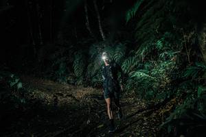 BIB: 
                            <button type="button" onclick="openModal(26031731)" class="btn btn-primary btn-sm float-right btn-popup" data-toggle="modal" data-target=".modal-high-quality">
                        <i class="fas fa-shopping-cart"></i> Add to Cart
                    </button>
                                            <button type="button" onclick="isThisMe(26031731, true)" class="btn btn-success btn-sm float-right btn-popup btn-isme hidden" data-toggle="tooltip" data-placement="bottom" title="นี่คือรูปของคุณใช่ไหม คลิกที่นี่เพื่อเอาเข้าอัลบั้ม">
                        <i class="fas fa-plus"></i> Add to album
                    </button>
                    <button type="button" onclick="isThisMe(26031731, false)" class="btn btn-warning btn-sm float-right btn-popup btn-isnotme hidden">
                        <i class="fas fa-ban"></i> Remove from album
                    </button>