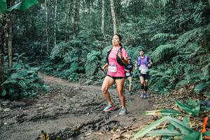 BIB: 
                            <button type="button" onclick="openModal(25705031)" class="btn btn-primary btn-sm float-right btn-popup" data-toggle="modal" data-target=".modal-high-quality">
                        <i class="fas fa-shopping-cart"></i> Add to Cart
                    </button>
                                            <button type="button" onclick="isThisMe(25705031, true)" class="btn btn-success btn-sm float-right btn-popup btn-isme hidden" data-toggle="tooltip" data-placement="bottom" title="นี่คือรูปของคุณใช่ไหม คลิกที่นี่เพื่อเอาเข้าอัลบั้ม">
                        <i class="fas fa-plus"></i> Add to album
                    </button>
                    <button type="button" onclick="isThisMe(25705031, false)" class="btn btn-warning btn-sm float-right btn-popup btn-isnotme hidden">
                        <i class="fas fa-ban"></i> Remove from album
                    </button>