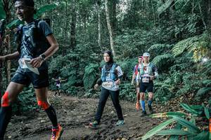 BIB: 
                            <button type="button" onclick="openModal(25642996)" class="btn btn-primary btn-sm float-right btn-popup" data-toggle="modal" data-target=".modal-high-quality">
                        <i class="fas fa-shopping-cart"></i> Add to Cart
                    </button>
                                            <button type="button" onclick="isThisMe(25642996, true)" class="btn btn-success btn-sm float-right btn-popup btn-isme hidden" data-toggle="tooltip" data-placement="bottom" title="นี่คือรูปของคุณใช่ไหม คลิกที่นี่เพื่อเอาเข้าอัลบั้ม">
                        <i class="fas fa-plus"></i> Add to album
                    </button>
                    <button type="button" onclick="isThisMe(25642996, false)" class="btn btn-warning btn-sm float-right btn-popup btn-isnotme hidden">
                        <i class="fas fa-ban"></i> Remove from album
                    </button>