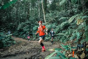 BIB: 
                            <button type="button" onclick="openModal(25648299)" class="btn btn-primary btn-sm float-right btn-popup" data-toggle="modal" data-target=".modal-high-quality">
                        <i class="fas fa-shopping-cart"></i> Add to Cart
                    </button>
                                            <button type="button" onclick="isThisMe(25648299, true)" class="btn btn-success btn-sm float-right btn-popup btn-isme hidden" data-toggle="tooltip" data-placement="bottom" title="นี่คือรูปของคุณใช่ไหม คลิกที่นี่เพื่อเอาเข้าอัลบั้ม">
                        <i class="fas fa-plus"></i> Add to album
                    </button>
                    <button type="button" onclick="isThisMe(25648299, false)" class="btn btn-warning btn-sm float-right btn-popup btn-isnotme hidden">
                        <i class="fas fa-ban"></i> Remove from album
                    </button>