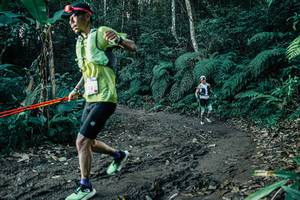 BIB: 
                            <button type="button" onclick="openModal(26016235)" class="btn btn-primary btn-sm float-right btn-popup" data-toggle="modal" data-target=".modal-high-quality">
                        <i class="fas fa-shopping-cart"></i> Add to Cart
                    </button>
                                            <button type="button" onclick="isThisMe(26016235, true)" class="btn btn-success btn-sm float-right btn-popup btn-isme hidden" data-toggle="tooltip" data-placement="bottom" title="นี่คือรูปของคุณใช่ไหม คลิกที่นี่เพื่อเอาเข้าอัลบั้ม">
                        <i class="fas fa-plus"></i> Add to album
                    </button>
                    <button type="button" onclick="isThisMe(26016235, false)" class="btn btn-warning btn-sm float-right btn-popup btn-isnotme hidden">
                        <i class="fas fa-ban"></i> Remove from album
                    </button>