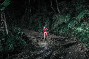 BIB: 
                            <button type="button" onclick="openModal(25694952)" class="btn btn-primary btn-sm float-right btn-popup" data-toggle="modal" data-target=".modal-high-quality">
                        <i class="fas fa-shopping-cart"></i> Add to Cart
                    </button>
                                            <button type="button" onclick="isThisMe(25694952, true)" class="btn btn-success btn-sm float-right btn-popup btn-isme hidden" data-toggle="tooltip" data-placement="bottom" title="นี่คือรูปของคุณใช่ไหม คลิกที่นี่เพื่อเอาเข้าอัลบั้ม">
                        <i class="fas fa-plus"></i> Add to album
                    </button>
                    <button type="button" onclick="isThisMe(25694952, false)" class="btn btn-warning btn-sm float-right btn-popup btn-isnotme hidden">
                        <i class="fas fa-ban"></i> Remove from album
                    </button>