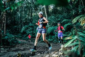 BIB: 
                            <button type="button" onclick="openModal(25596079)" class="btn btn-primary btn-sm float-right btn-popup" data-toggle="modal" data-target=".modal-high-quality">
                        <i class="fas fa-shopping-cart"></i> Add to Cart
                    </button>
                                            <button type="button" onclick="isThisMe(25596079, true)" class="btn btn-success btn-sm float-right btn-popup btn-isme hidden" data-toggle="tooltip" data-placement="bottom" title="นี่คือรูปของคุณใช่ไหม คลิกที่นี่เพื่อเอาเข้าอัลบั้ม">
                        <i class="fas fa-plus"></i> Add to album
                    </button>
                    <button type="button" onclick="isThisMe(25596079, false)" class="btn btn-warning btn-sm float-right btn-popup btn-isnotme hidden">
                        <i class="fas fa-ban"></i> Remove from album
                    </button>