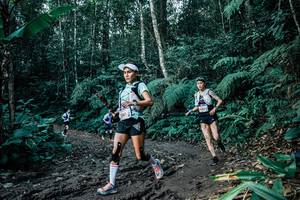 BIB: 
                            <button type="button" onclick="openModal(26061279)" class="btn btn-primary btn-sm float-right btn-popup" data-toggle="modal" data-target=".modal-high-quality">
                        <i class="fas fa-shopping-cart"></i> Add to Cart
                    </button>
                                            <button type="button" onclick="isThisMe(26061279, true)" class="btn btn-success btn-sm float-right btn-popup btn-isme hidden" data-toggle="tooltip" data-placement="bottom" title="นี่คือรูปของคุณใช่ไหม คลิกที่นี่เพื่อเอาเข้าอัลบั้ม">
                        <i class="fas fa-plus"></i> Add to album
                    </button>
                    <button type="button" onclick="isThisMe(26061279, false)" class="btn btn-warning btn-sm float-right btn-popup btn-isnotme hidden">
                        <i class="fas fa-ban"></i> Remove from album
                    </button>