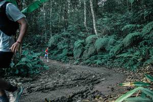 BIB: 
                            <button type="button" onclick="openModal(25697217)" class="btn btn-primary btn-sm float-right btn-popup" data-toggle="modal" data-target=".modal-high-quality">
                        <i class="fas fa-shopping-cart"></i> Add to Cart
                    </button>
                                            <button type="button" onclick="isThisMe(25697217, true)" class="btn btn-success btn-sm float-right btn-popup btn-isme hidden" data-toggle="tooltip" data-placement="bottom" title="นี่คือรูปของคุณใช่ไหม คลิกที่นี่เพื่อเอาเข้าอัลบั้ม">
                        <i class="fas fa-plus"></i> Add to album
                    </button>
                    <button type="button" onclick="isThisMe(25697217, false)" class="btn btn-warning btn-sm float-right btn-popup btn-isnotme hidden">
                        <i class="fas fa-ban"></i> Remove from album
                    </button>