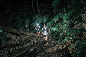 BIB: 
                            <button type="button" onclick="openModal(25694537)" class="btn btn-primary btn-sm float-right btn-popup" data-toggle="modal" data-target=".modal-high-quality">
                        <i class="fas fa-shopping-cart"></i> Add to Cart
                    </button>
                                            <button type="button" onclick="isThisMe(25694537, true)" class="btn btn-success btn-sm float-right btn-popup btn-isme hidden" data-toggle="tooltip" data-placement="bottom" title="นี่คือรูปของคุณใช่ไหม คลิกที่นี่เพื่อเอาเข้าอัลบั้ม">
                        <i class="fas fa-plus"></i> Add to album
                    </button>
                    <button type="button" onclick="isThisMe(25694537, false)" class="btn btn-warning btn-sm float-right btn-popup btn-isnotme hidden">
                        <i class="fas fa-ban"></i> Remove from album
                    </button>