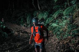 BIB: 
                            <button type="button" onclick="openModal(25695309)" class="btn btn-primary btn-sm float-right btn-popup" data-toggle="modal" data-target=".modal-high-quality">
                        <i class="fas fa-shopping-cart"></i> Add to Cart
                    </button>
                                            <button type="button" onclick="isThisMe(25695309, true)" class="btn btn-success btn-sm float-right btn-popup btn-isme hidden" data-toggle="tooltip" data-placement="bottom" title="นี่คือรูปของคุณใช่ไหม คลิกที่นี่เพื่อเอาเข้าอัลบั้ม">
                        <i class="fas fa-plus"></i> Add to album
                    </button>
                    <button type="button" onclick="isThisMe(25695309, false)" class="btn btn-warning btn-sm float-right btn-popup btn-isnotme hidden">
                        <i class="fas fa-ban"></i> Remove from album
                    </button>