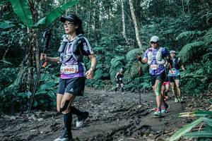 BIB: 
                            <button type="button" onclick="openModal(25613758)" class="btn btn-primary btn-sm float-right btn-popup" data-toggle="modal" data-target=".modal-high-quality">
                        <i class="fas fa-shopping-cart"></i> Add to Cart
                    </button>
                                            <button type="button" onclick="isThisMe(25613758, true)" class="btn btn-success btn-sm float-right btn-popup btn-isme hidden" data-toggle="tooltip" data-placement="bottom" title="นี่คือรูปของคุณใช่ไหม คลิกที่นี่เพื่อเอาเข้าอัลบั้ม">
                        <i class="fas fa-plus"></i> Add to album
                    </button>
                    <button type="button" onclick="isThisMe(25613758, false)" class="btn btn-warning btn-sm float-right btn-popup btn-isnotme hidden">
                        <i class="fas fa-ban"></i> Remove from album
                    </button>