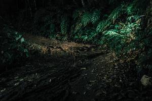 BIB: 
                            <button type="button" onclick="openModal(26031096)" class="btn btn-primary btn-sm float-right btn-popup" data-toggle="modal" data-target=".modal-high-quality">
                        <i class="fas fa-shopping-cart"></i> Add to Cart
                    </button>
                                            <button type="button" onclick="isThisMe(26031096, true)" class="btn btn-success btn-sm float-right btn-popup btn-isme hidden" data-toggle="tooltip" data-placement="bottom" title="นี่คือรูปของคุณใช่ไหม คลิกที่นี่เพื่อเอาเข้าอัลบั้ม">
                        <i class="fas fa-plus"></i> Add to album
                    </button>
                    <button type="button" onclick="isThisMe(26031096, false)" class="btn btn-warning btn-sm float-right btn-popup btn-isnotme hidden">
                        <i class="fas fa-ban"></i> Remove from album
                    </button>