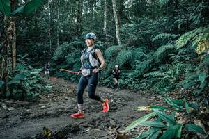 BIB: 
                            <button type="button" onclick="openModal(25577175)" class="btn btn-primary btn-sm float-right btn-popup" data-toggle="modal" data-target=".modal-high-quality">
                        <i class="fas fa-shopping-cart"></i> Add to Cart
                    </button>
                                            <button type="button" onclick="isThisMe(25577175, true)" class="btn btn-success btn-sm float-right btn-popup btn-isme hidden" data-toggle="tooltip" data-placement="bottom" title="นี่คือรูปของคุณใช่ไหม คลิกที่นี่เพื่อเอาเข้าอัลบั้ม">
                        <i class="fas fa-plus"></i> Add to album
                    </button>
                    <button type="button" onclick="isThisMe(25577175, false)" class="btn btn-warning btn-sm float-right btn-popup btn-isnotme hidden">
                        <i class="fas fa-ban"></i> Remove from album
                    </button>