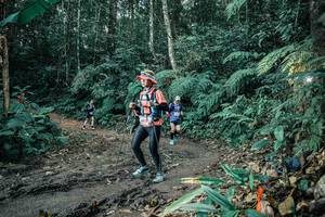 BIB: 
                            <button type="button" onclick="openModal(25649871)" class="btn btn-primary btn-sm float-right btn-popup" data-toggle="modal" data-target=".modal-high-quality">
                        <i class="fas fa-shopping-cart"></i> Add to Cart
                    </button>
                                            <button type="button" onclick="isThisMe(25649871, true)" class="btn btn-success btn-sm float-right btn-popup btn-isme hidden" data-toggle="tooltip" data-placement="bottom" title="นี่คือรูปของคุณใช่ไหม คลิกที่นี่เพื่อเอาเข้าอัลบั้ม">
                        <i class="fas fa-plus"></i> Add to album
                    </button>
                    <button type="button" onclick="isThisMe(25649871, false)" class="btn btn-warning btn-sm float-right btn-popup btn-isnotme hidden">
                        <i class="fas fa-ban"></i> Remove from album
                    </button>