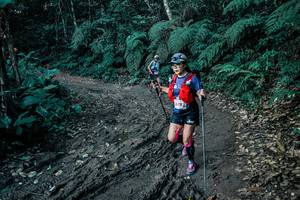 BIB: 
                            <button type="button" onclick="openModal(26032882)" class="btn btn-primary btn-sm float-right btn-popup" data-toggle="modal" data-target=".modal-high-quality">
                        <i class="fas fa-shopping-cart"></i> Add to Cart
                    </button>
                                            <button type="button" onclick="isThisMe(26032882, true)" class="btn btn-success btn-sm float-right btn-popup btn-isme hidden" data-toggle="tooltip" data-placement="bottom" title="นี่คือรูปของคุณใช่ไหม คลิกที่นี่เพื่อเอาเข้าอัลบั้ม">
                        <i class="fas fa-plus"></i> Add to album
                    </button>
                    <button type="button" onclick="isThisMe(26032882, false)" class="btn btn-warning btn-sm float-right btn-popup btn-isnotme hidden">
                        <i class="fas fa-ban"></i> Remove from album
                    </button>