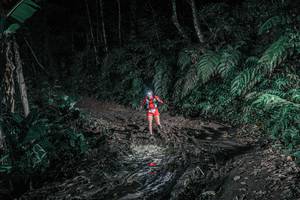 BIB: 
                            <button type="button" onclick="openModal(25694961)" class="btn btn-primary btn-sm float-right btn-popup" data-toggle="modal" data-target=".modal-high-quality">
                        <i class="fas fa-shopping-cart"></i> Add to Cart
                    </button>
                                            <button type="button" onclick="isThisMe(25694961, true)" class="btn btn-success btn-sm float-right btn-popup btn-isme hidden" data-toggle="tooltip" data-placement="bottom" title="นี่คือรูปของคุณใช่ไหม คลิกที่นี่เพื่อเอาเข้าอัลบั้ม">
                        <i class="fas fa-plus"></i> Add to album
                    </button>
                    <button type="button" onclick="isThisMe(25694961, false)" class="btn btn-warning btn-sm float-right btn-popup btn-isnotme hidden">
                        <i class="fas fa-ban"></i> Remove from album
                    </button>