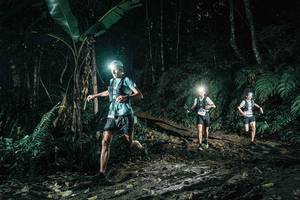 BIB: 
                            <button type="button" onclick="openModal(26031281)" class="btn btn-primary btn-sm float-right btn-popup" data-toggle="modal" data-target=".modal-high-quality">
                        <i class="fas fa-shopping-cart"></i> Add to Cart
                    </button>
                                            <button type="button" onclick="isThisMe(26031281, true)" class="btn btn-success btn-sm float-right btn-popup btn-isme hidden" data-toggle="tooltip" data-placement="bottom" title="นี่คือรูปของคุณใช่ไหม คลิกที่นี่เพื่อเอาเข้าอัลบั้ม">
                        <i class="fas fa-plus"></i> Add to album
                    </button>
                    <button type="button" onclick="isThisMe(26031281, false)" class="btn btn-warning btn-sm float-right btn-popup btn-isnotme hidden">
                        <i class="fas fa-ban"></i> Remove from album
                    </button>