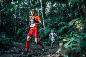 BIB: 
                            <button type="button" onclick="openModal(26018438)" class="btn btn-primary btn-sm float-right btn-popup" data-toggle="modal" data-target=".modal-high-quality">
                        <i class="fas fa-shopping-cart"></i> Add to Cart
                    </button>
                                            <button type="button" onclick="isThisMe(26018438, true)" class="btn btn-success btn-sm float-right btn-popup btn-isme hidden" data-toggle="tooltip" data-placement="bottom" title="นี่คือรูปของคุณใช่ไหม คลิกที่นี่เพื่อเอาเข้าอัลบั้ม">
                        <i class="fas fa-plus"></i> Add to album
                    </button>
                    <button type="button" onclick="isThisMe(26018438, false)" class="btn btn-warning btn-sm float-right btn-popup btn-isnotme hidden">
                        <i class="fas fa-ban"></i> Remove from album
                    </button>