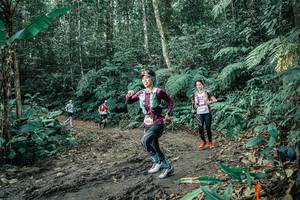 BIB: 
                            <button type="button" onclick="openModal(25649020)" class="btn btn-primary btn-sm float-right btn-popup" data-toggle="modal" data-target=".modal-high-quality">
                        <i class="fas fa-shopping-cart"></i> Add to Cart
                    </button>
                                            <button type="button" onclick="isThisMe(25649020, true)" class="btn btn-success btn-sm float-right btn-popup btn-isme hidden" data-toggle="tooltip" data-placement="bottom" title="นี่คือรูปของคุณใช่ไหม คลิกที่นี่เพื่อเอาเข้าอัลบั้ม">
                        <i class="fas fa-plus"></i> Add to album
                    </button>
                    <button type="button" onclick="isThisMe(25649020, false)" class="btn btn-warning btn-sm float-right btn-popup btn-isnotme hidden">
                        <i class="fas fa-ban"></i> Remove from album
                    </button>