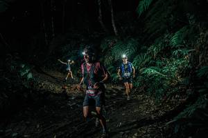 BIB: 
                            <button type="button" onclick="openModal(26031797)" class="btn btn-primary btn-sm float-right btn-popup" data-toggle="modal" data-target=".modal-high-quality">
                        <i class="fas fa-shopping-cart"></i> Add to Cart
                    </button>
                                            <button type="button" onclick="isThisMe(26031797, true)" class="btn btn-success btn-sm float-right btn-popup btn-isme hidden" data-toggle="tooltip" data-placement="bottom" title="นี่คือรูปของคุณใช่ไหม คลิกที่นี่เพื่อเอาเข้าอัลบั้ม">
                        <i class="fas fa-plus"></i> Add to album
                    </button>
                    <button type="button" onclick="isThisMe(26031797, false)" class="btn btn-warning btn-sm float-right btn-popup btn-isnotme hidden">
                        <i class="fas fa-ban"></i> Remove from album
                    </button>