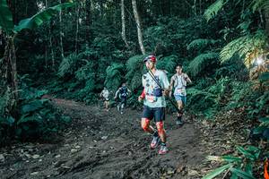 BIB: 
                            <button type="button" onclick="openModal(26059748)" class="btn btn-primary btn-sm float-right btn-popup" data-toggle="modal" data-target=".modal-high-quality">
                        <i class="fas fa-shopping-cart"></i> Add to Cart
                    </button>
                                            <button type="button" onclick="isThisMe(26059748, true)" class="btn btn-success btn-sm float-right btn-popup btn-isme hidden" data-toggle="tooltip" data-placement="bottom" title="นี่คือรูปของคุณใช่ไหม คลิกที่นี่เพื่อเอาเข้าอัลบั้ม">
                        <i class="fas fa-plus"></i> Add to album
                    </button>
                    <button type="button" onclick="isThisMe(26059748, false)" class="btn btn-warning btn-sm float-right btn-popup btn-isnotme hidden">
                        <i class="fas fa-ban"></i> Remove from album
                    </button>