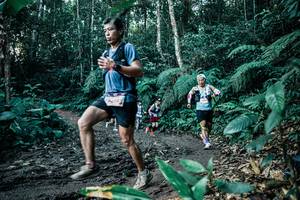 BIB: 
                            <button type="button" onclick="openModal(26033204)" class="btn btn-primary btn-sm float-right btn-popup" data-toggle="modal" data-target=".modal-high-quality">
                        <i class="fas fa-shopping-cart"></i> Add to Cart
                    </button>
                                            <button type="button" onclick="isThisMe(26033204, true)" class="btn btn-success btn-sm float-right btn-popup btn-isme hidden" data-toggle="tooltip" data-placement="bottom" title="นี่คือรูปของคุณใช่ไหม คลิกที่นี่เพื่อเอาเข้าอัลบั้ม">
                        <i class="fas fa-plus"></i> Add to album
                    </button>
                    <button type="button" onclick="isThisMe(26033204, false)" class="btn btn-warning btn-sm float-right btn-popup btn-isnotme hidden">
                        <i class="fas fa-ban"></i> Remove from album
                    </button>