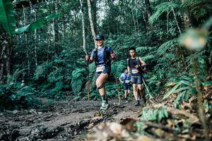 BIB: 
                            <button type="button" onclick="openModal(26055625)" class="btn btn-primary btn-sm float-right btn-popup" data-toggle="modal" data-target=".modal-high-quality">
                        <i class="fas fa-shopping-cart"></i> Add to Cart
                    </button>
                                            <button type="button" onclick="isThisMe(26055625, true)" class="btn btn-success btn-sm float-right btn-popup btn-isme hidden" data-toggle="tooltip" data-placement="bottom" title="นี่คือรูปของคุณใช่ไหม คลิกที่นี่เพื่อเอาเข้าอัลบั้ม">
                        <i class="fas fa-plus"></i> Add to album
                    </button>
                    <button type="button" onclick="isThisMe(26055625, false)" class="btn btn-warning btn-sm float-right btn-popup btn-isnotme hidden">
                        <i class="fas fa-ban"></i> Remove from album
                    </button>