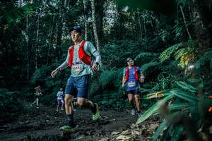 BIB: 
                            <button type="button" onclick="openModal(26017794)" class="btn btn-primary btn-sm float-right btn-popup" data-toggle="modal" data-target=".modal-high-quality">
                        <i class="fas fa-shopping-cart"></i> Add to Cart
                    </button>
                                            <button type="button" onclick="isThisMe(26017794, true)" class="btn btn-success btn-sm float-right btn-popup btn-isme hidden" data-toggle="tooltip" data-placement="bottom" title="นี่คือรูปของคุณใช่ไหม คลิกที่นี่เพื่อเอาเข้าอัลบั้ม">
                        <i class="fas fa-plus"></i> Add to album
                    </button>
                    <button type="button" onclick="isThisMe(26017794, false)" class="btn btn-warning btn-sm float-right btn-popup btn-isnotme hidden">
                        <i class="fas fa-ban"></i> Remove from album
                    </button>