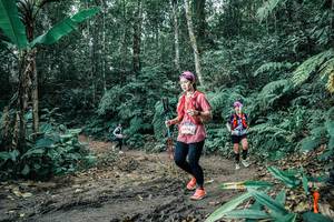 BIB: 
                            <button type="button" onclick="openModal(25647374)" class="btn btn-primary btn-sm float-right btn-popup" data-toggle="modal" data-target=".modal-high-quality">
                        <i class="fas fa-shopping-cart"></i> Add to Cart
                    </button>
                                            <button type="button" onclick="isThisMe(25647374, true)" class="btn btn-success btn-sm float-right btn-popup btn-isme hidden" data-toggle="tooltip" data-placement="bottom" title="นี่คือรูปของคุณใช่ไหม คลิกที่นี่เพื่อเอาเข้าอัลบั้ม">
                        <i class="fas fa-plus"></i> Add to album
                    </button>
                    <button type="button" onclick="isThisMe(25647374, false)" class="btn btn-warning btn-sm float-right btn-popup btn-isnotme hidden">
                        <i class="fas fa-ban"></i> Remove from album
                    </button>