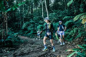 BIB: 
                            <button type="button" onclick="openModal(25601709)" class="btn btn-primary btn-sm float-right btn-popup" data-toggle="modal" data-target=".modal-high-quality">
                        <i class="fas fa-shopping-cart"></i> Add to Cart
                    </button>
                                            <button type="button" onclick="isThisMe(25601709, true)" class="btn btn-success btn-sm float-right btn-popup btn-isme hidden" data-toggle="tooltip" data-placement="bottom" title="นี่คือรูปของคุณใช่ไหม คลิกที่นี่เพื่อเอาเข้าอัลบั้ม">
                        <i class="fas fa-plus"></i> Add to album
                    </button>
                    <button type="button" onclick="isThisMe(25601709, false)" class="btn btn-warning btn-sm float-right btn-popup btn-isnotme hidden">
                        <i class="fas fa-ban"></i> Remove from album
                    </button>