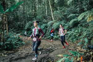 BIB: 
                            <button type="button" onclick="openModal(25649035)" class="btn btn-primary btn-sm float-right btn-popup" data-toggle="modal" data-target=".modal-high-quality">
                        <i class="fas fa-shopping-cart"></i> Add to Cart
                    </button>
                                            <button type="button" onclick="isThisMe(25649035, true)" class="btn btn-success btn-sm float-right btn-popup btn-isme hidden" data-toggle="tooltip" data-placement="bottom" title="นี่คือรูปของคุณใช่ไหม คลิกที่นี่เพื่อเอาเข้าอัลบั้ม">
                        <i class="fas fa-plus"></i> Add to album
                    </button>
                    <button type="button" onclick="isThisMe(25649035, false)" class="btn btn-warning btn-sm float-right btn-popup btn-isnotme hidden">
                        <i class="fas fa-ban"></i> Remove from album
                    </button>