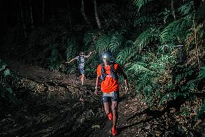 BIB: 
                            <button type="button" onclick="openModal(25695267)" class="btn btn-primary btn-sm float-right btn-popup" data-toggle="modal" data-target=".modal-high-quality">
                        <i class="fas fa-shopping-cart"></i> Add to Cart
                    </button>
                                            <button type="button" onclick="isThisMe(25695267, true)" class="btn btn-success btn-sm float-right btn-popup btn-isme hidden" data-toggle="tooltip" data-placement="bottom" title="นี่คือรูปของคุณใช่ไหม คลิกที่นี่เพื่อเอาเข้าอัลบั้ม">
                        <i class="fas fa-plus"></i> Add to album
                    </button>
                    <button type="button" onclick="isThisMe(25695267, false)" class="btn btn-warning btn-sm float-right btn-popup btn-isnotme hidden">
                        <i class="fas fa-ban"></i> Remove from album
                    </button>