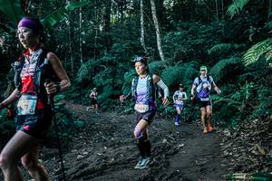 BIB: 
                            <button type="button" onclick="openModal(26019239)" class="btn btn-primary btn-sm float-right btn-popup" data-toggle="modal" data-target=".modal-high-quality">
                        <i class="fas fa-shopping-cart"></i> Add to Cart
                    </button>
                                            <button type="button" onclick="isThisMe(26019239, true)" class="btn btn-success btn-sm float-right btn-popup btn-isme hidden" data-toggle="tooltip" data-placement="bottom" title="นี่คือรูปของคุณใช่ไหม คลิกที่นี่เพื่อเอาเข้าอัลบั้ม">
                        <i class="fas fa-plus"></i> Add to album
                    </button>
                    <button type="button" onclick="isThisMe(26019239, false)" class="btn btn-warning btn-sm float-right btn-popup btn-isnotme hidden">
                        <i class="fas fa-ban"></i> Remove from album
                    </button>