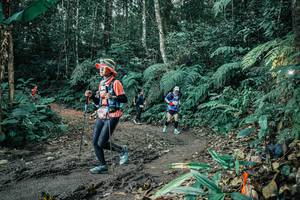 BIB: 
                            <button type="button" onclick="openModal(25649884)" class="btn btn-primary btn-sm float-right btn-popup" data-toggle="modal" data-target=".modal-high-quality">
                        <i class="fas fa-shopping-cart"></i> Add to Cart
                    </button>
                                            <button type="button" onclick="isThisMe(25649884, true)" class="btn btn-success btn-sm float-right btn-popup btn-isme hidden" data-toggle="tooltip" data-placement="bottom" title="นี่คือรูปของคุณใช่ไหม คลิกที่นี่เพื่อเอาเข้าอัลบั้ม">
                        <i class="fas fa-plus"></i> Add to album
                    </button>
                    <button type="button" onclick="isThisMe(25649884, false)" class="btn btn-warning btn-sm float-right btn-popup btn-isnotme hidden">
                        <i class="fas fa-ban"></i> Remove from album
                    </button>